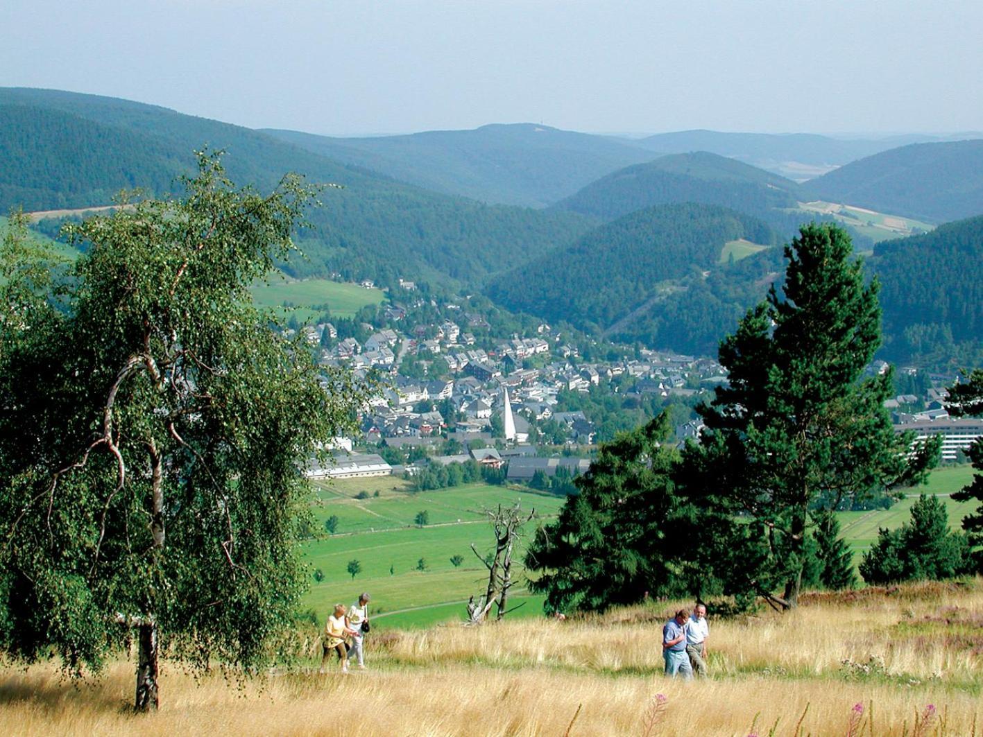 Appartement Happynest*** Mit Hallenbad Willingen (Upland) Exterior foto