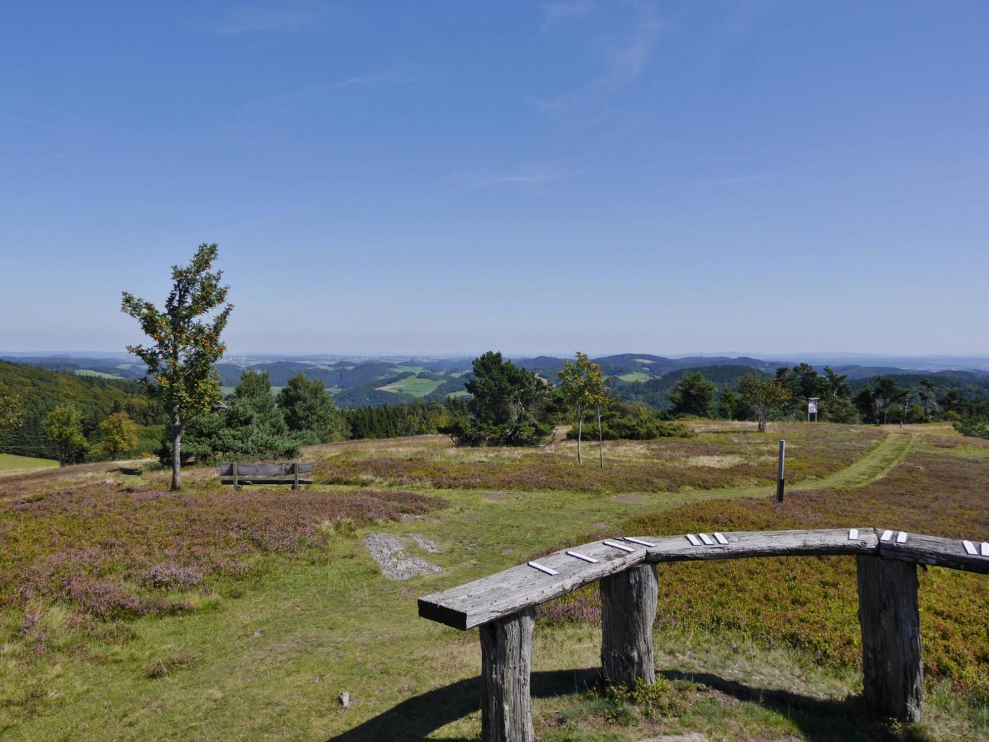 Appartement Happynest*** Mit Hallenbad Willingen (Upland) Exterior foto