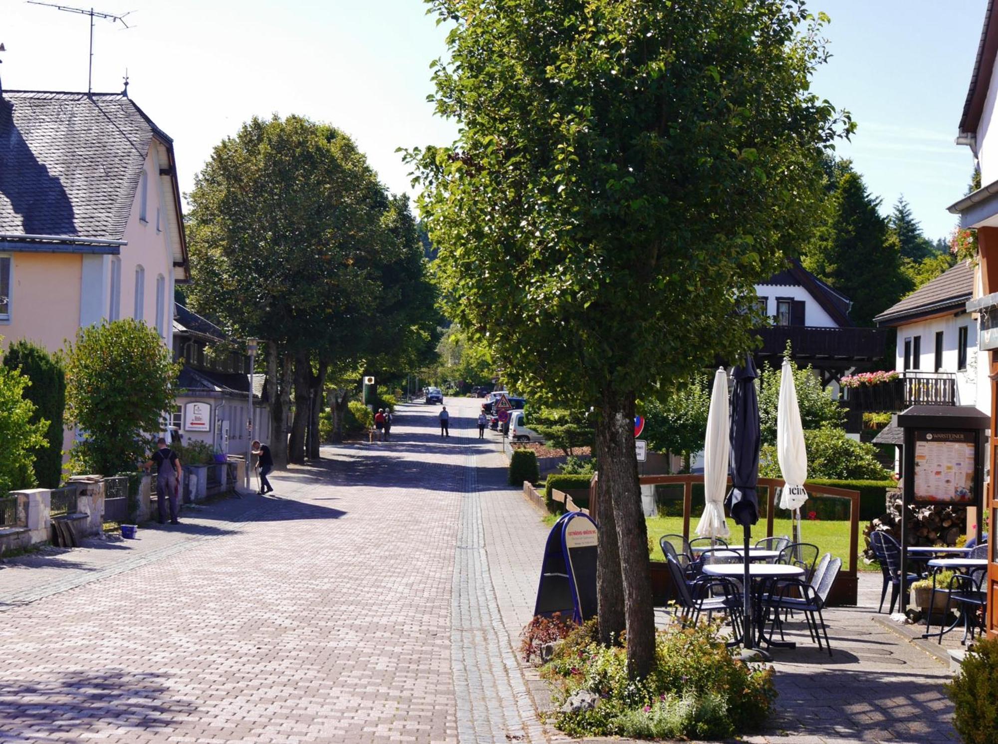 Appartement Happynest*** Mit Hallenbad Willingen (Upland) Exterior foto