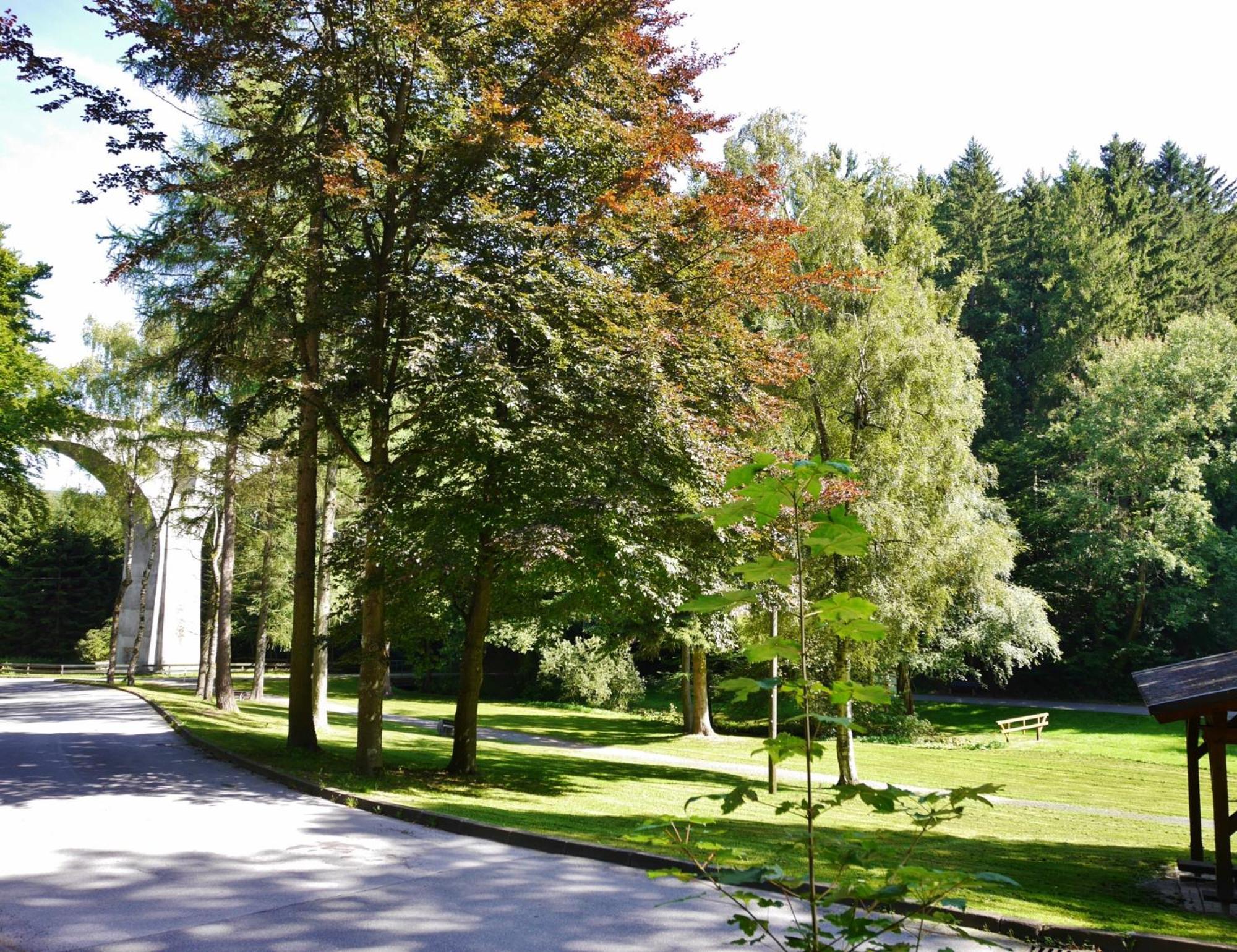 Appartement Happynest*** Mit Hallenbad Willingen (Upland) Exterior foto